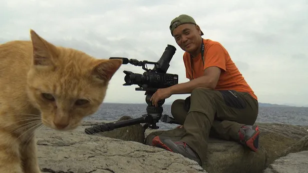 相島は動物写真家・岩合光昭氏の、お気に入りの撮影スポットでもある