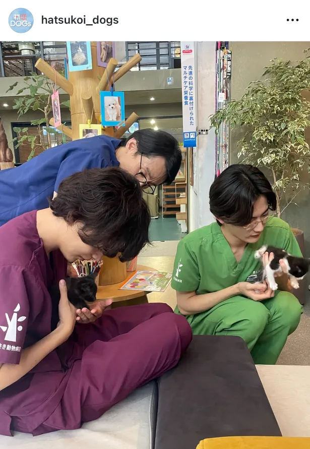  【写真】‪成田凌‬＆なだぎ武‬＆NOAが“モフモフチャージ”する様子に「猫になりたい〜」の声