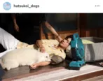 寝顔かわいすぎ…ナ・イヌとワンちゃんが縁側でぽかぽかとお昼寝するオフショットに反響＜初恋DOGs＞