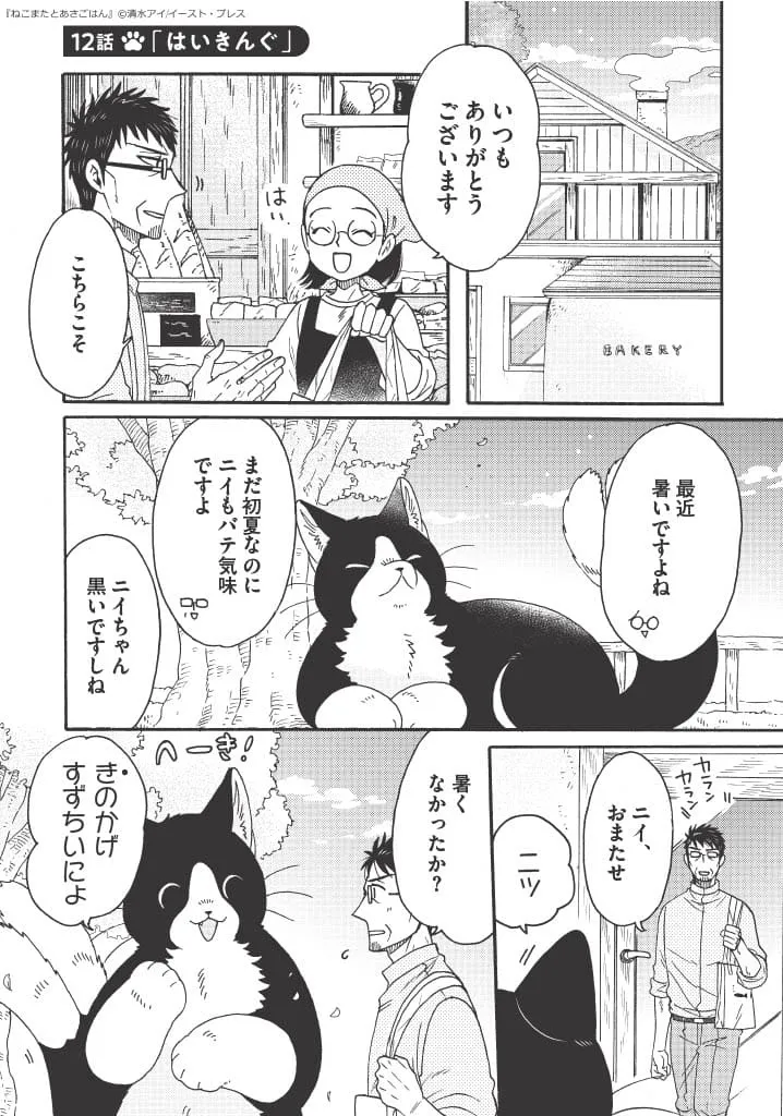 「でっかい猫又、ハイキングに行く」(1/14)