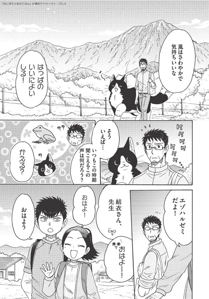 「でっかい猫又、ハイキングに行く」(2/14)