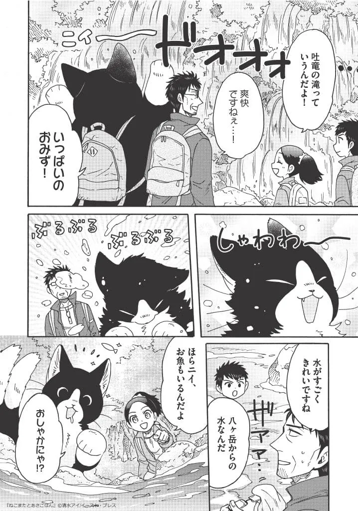 「でっかい猫又、ハイキングに行く」(8/14)