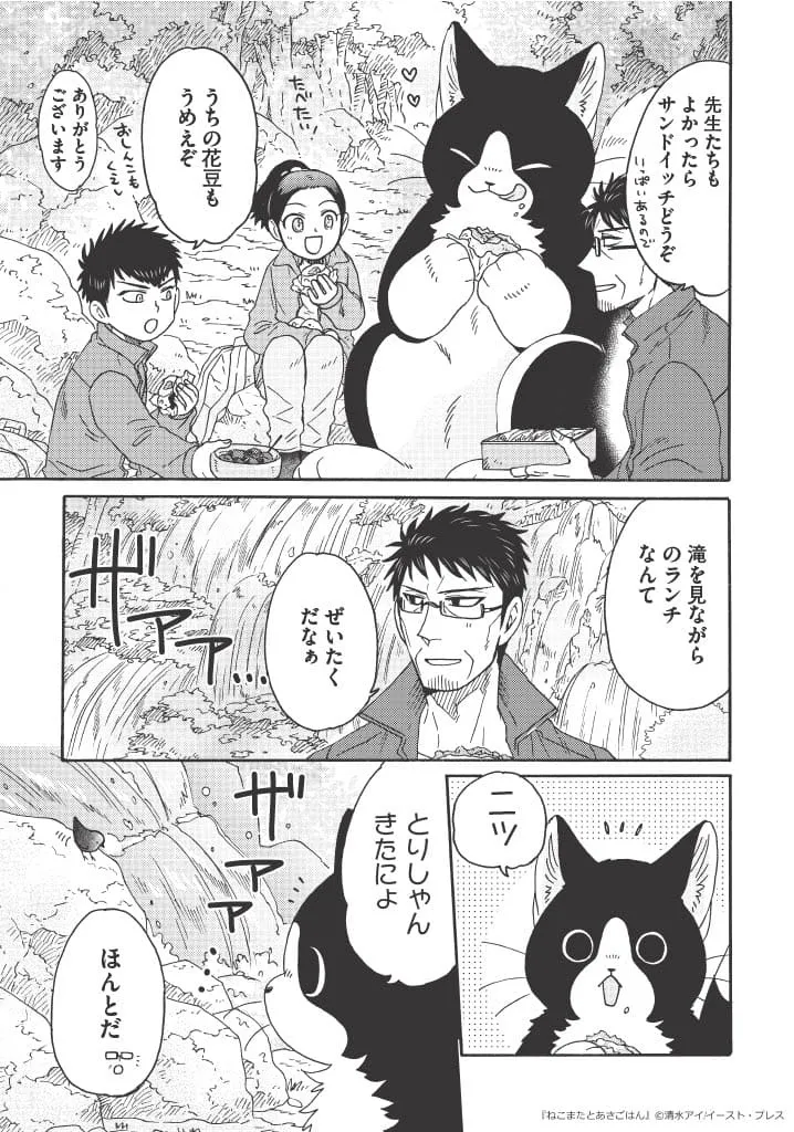 「でっかい猫又、ハイキングに行く」(10/14)