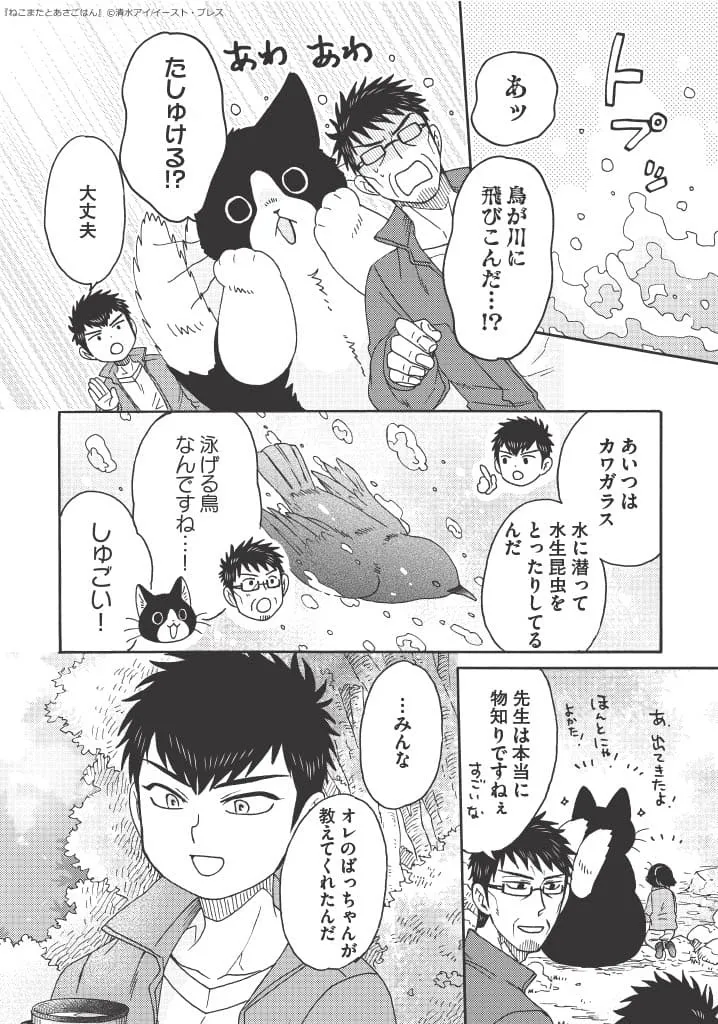 「でっかい猫又、ハイキングに行く」(11/14)