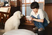「初恋DOGs」第8話より