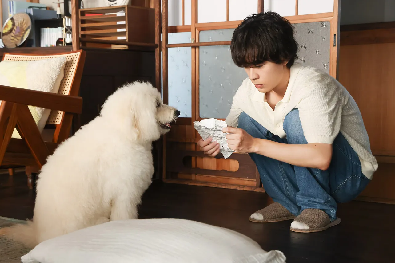 「初恋DOGs」第8話より