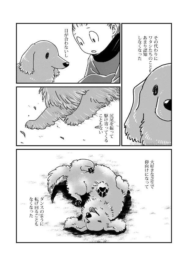 『ワタシの人生にとうとう犬がいなくなってしまった』(8／16)
