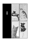 『ワタシの人生にとうとう犬がいなくなってしまった』(14／16)