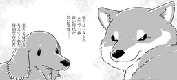 『ワタシの人生にとうとう犬がいなくなってしまった』より