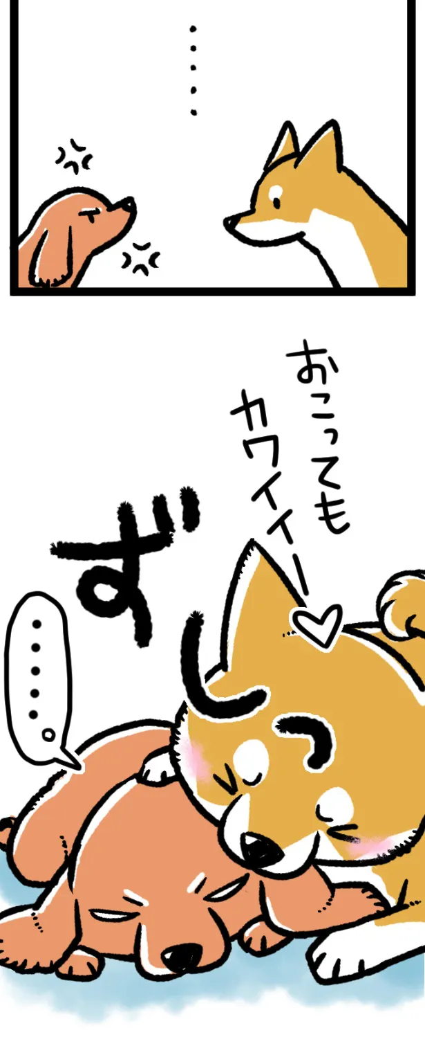 『もふもふ犬まみれ』(1／5)