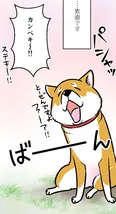 『もふもふ犬まみれ』(3／5)