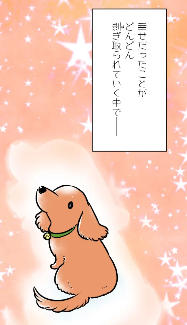 『もふもふ犬まみれ』(5/5)