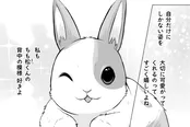『ウサゴク～極道、ウサギも極めます～』より