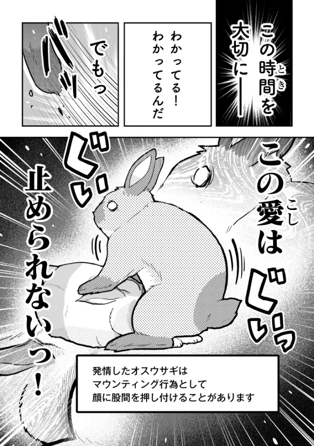『ウサゴク～極道、ウサギも極めます～』26話(22／23)