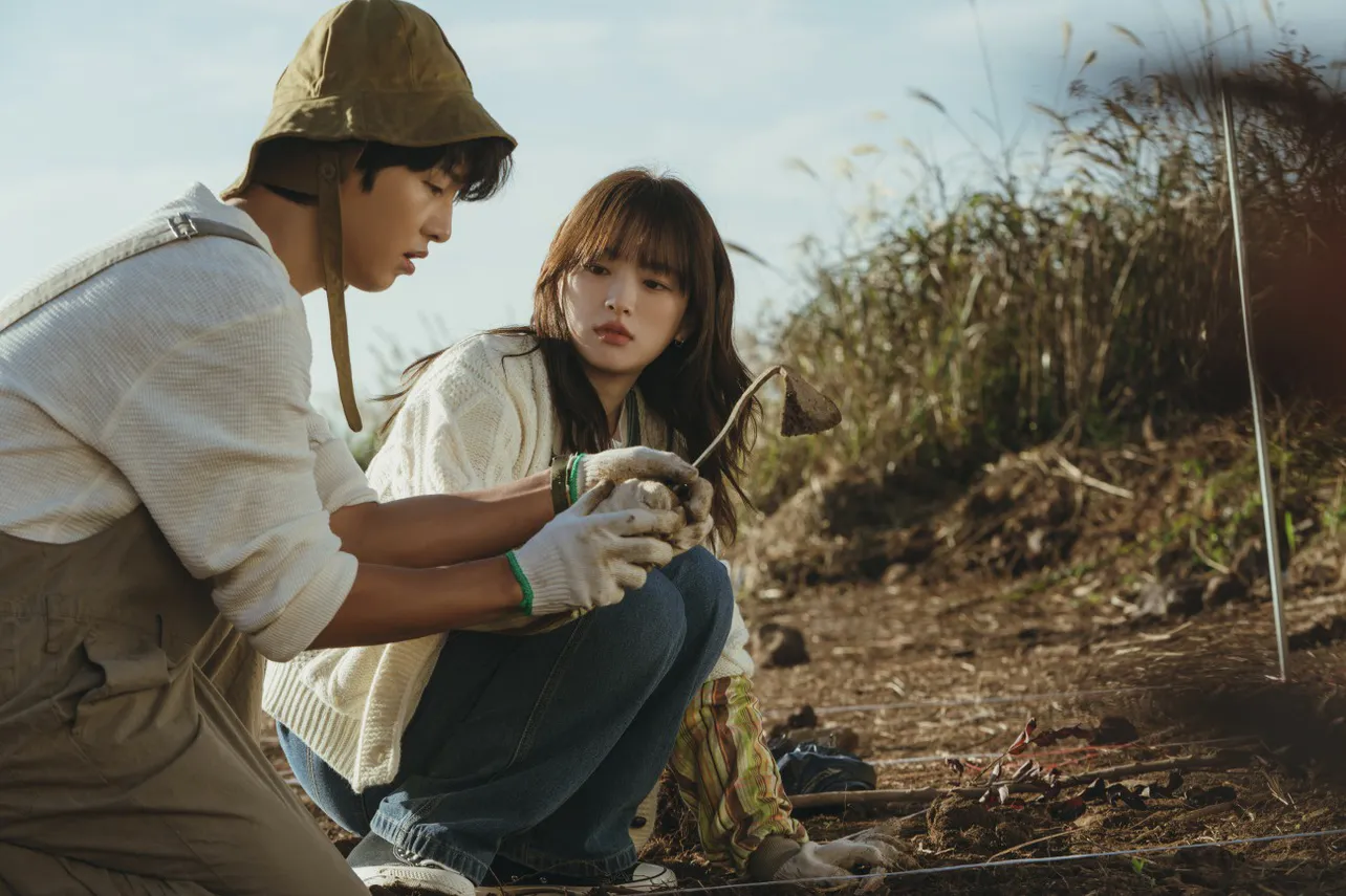 離島で2人は植樹作業