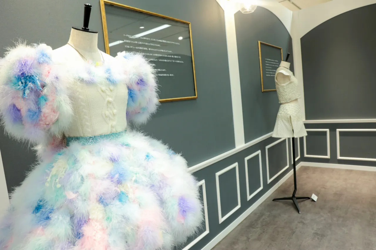 「AKB48大衣装展 -時代を彩った装跡-」メディア内覧会より
