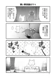 『賢い野良猫のクゥ』