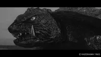 「大怪獣ガメラ」