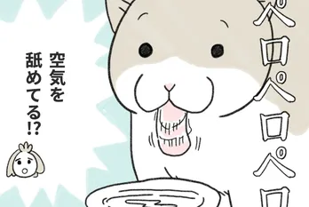 水を飲む時に“空気を舐めてしまう猫”…飼い主が発見した新たな気づきに「何とも言えない可愛さ」【漫画】