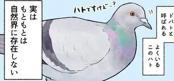 人を信じきれないスズメ、がんばるツバメ…身近な鳥たちの素顔に「ますます愛しい」【漫画】