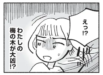 【漫画】不運の原因が判明⁉ 家族に内緒で風水師からアドバイスを受けた結果／占いにすがる私は間違っていますか？(7)