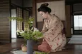 <明日のばけばけ>高石あかり“トキ”は生け花やお茶を習い直そうと、北川景子“タエ”を訪ねる