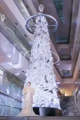 「表参道ヒルズ クリスマスツリー 2025 点灯式」より