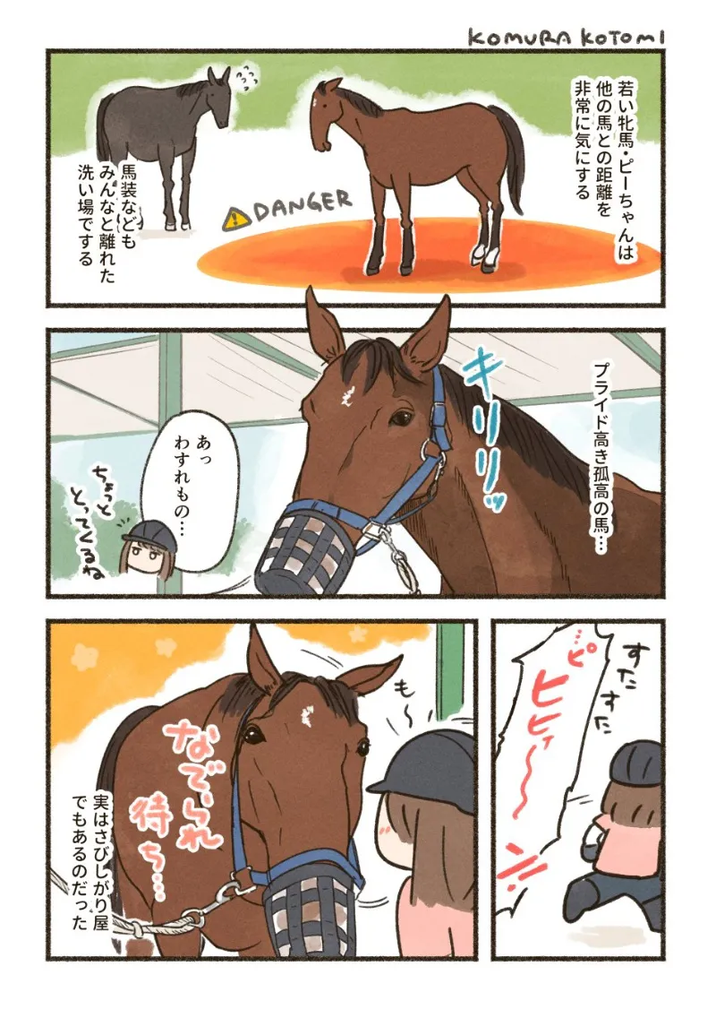 『距離感が気になる馬』