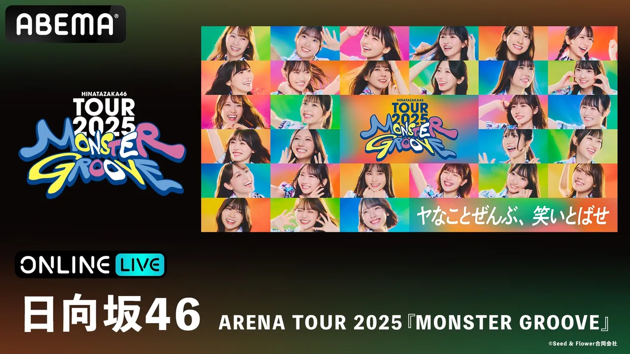 【硬質】河田陽菜 16種コンプ MONSTER GROOVE ＿＿＿＿◣＿＿＿＿＿◢＿＿＿＿ #日向坂46 ARENA TOUR 2025 「MONSTER