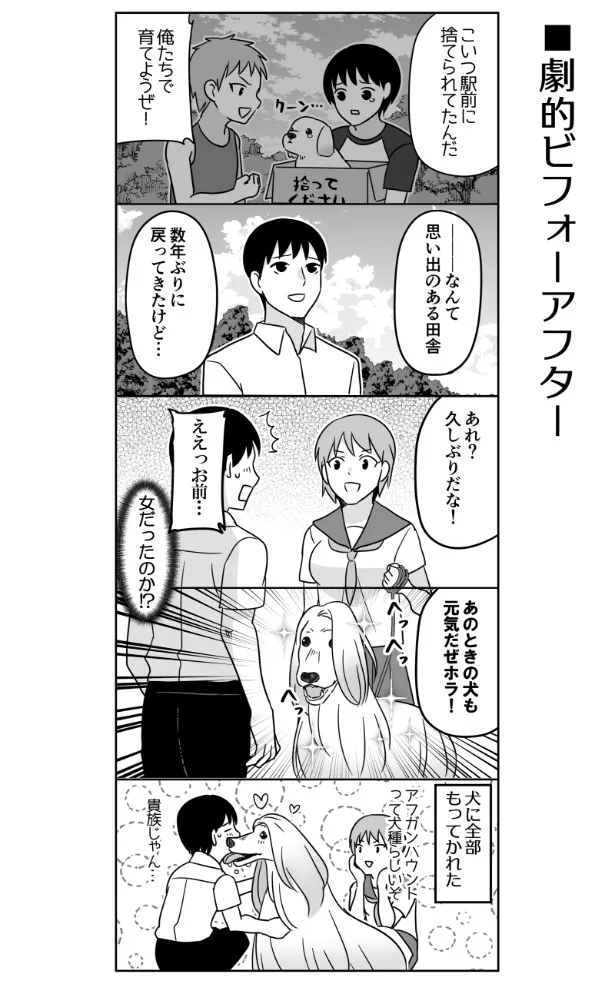 『劇的ビフォーアフター』