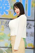 藤川めい