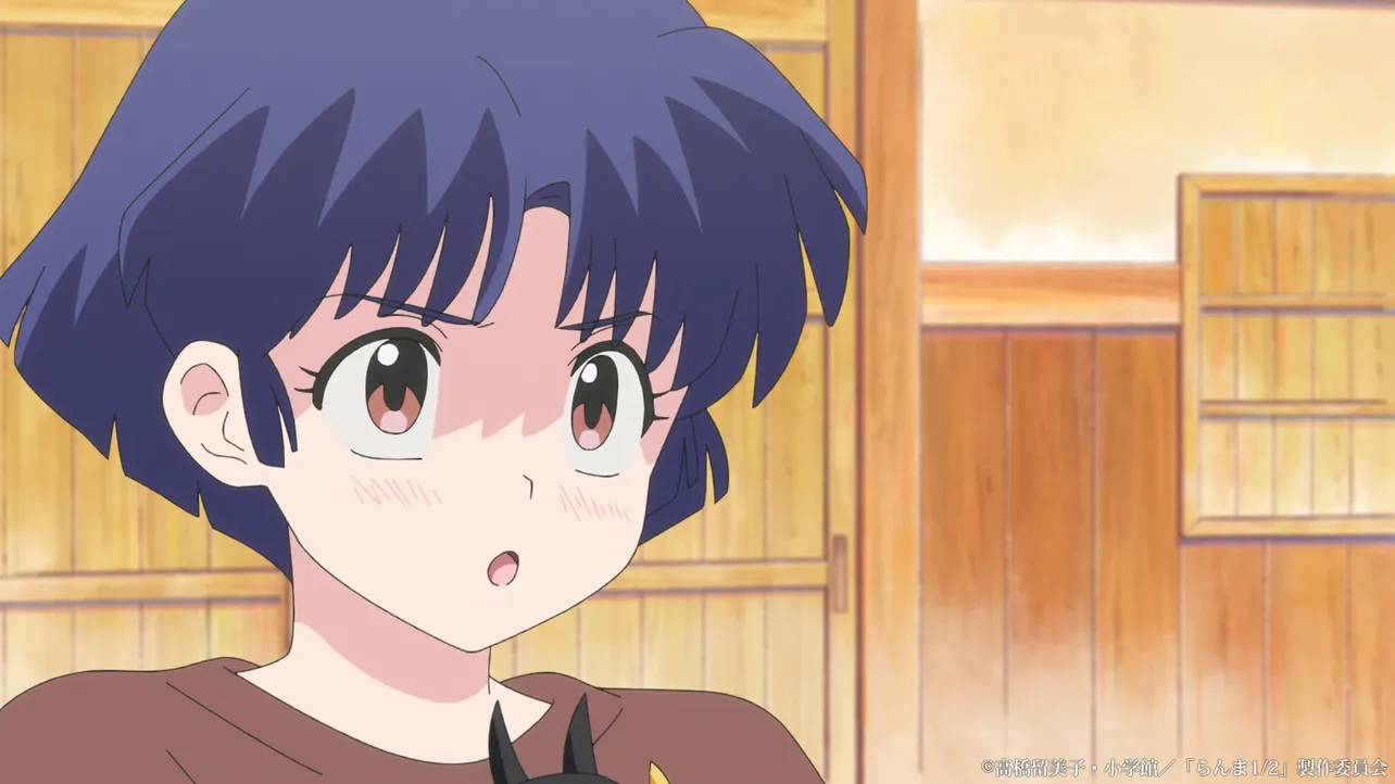 アニメ「らんま1/2」第13話より