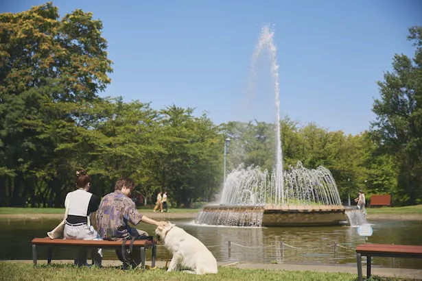「すべての恋が終わるとしても」最終回より