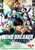 映画「WIND BREAKER／ウィンドブレイカー」ポスタービジュアル
