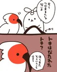 『トキはちゃんとスタッフが逃しましたので安心してね』