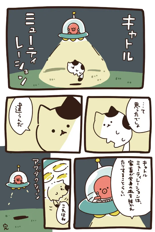 『ﾆｬﾄﾙﾐｭｰﾃｨﾚｰｼｮﾝ』