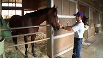 【写真】馬房で調教助手に甘えるメイショウタバル