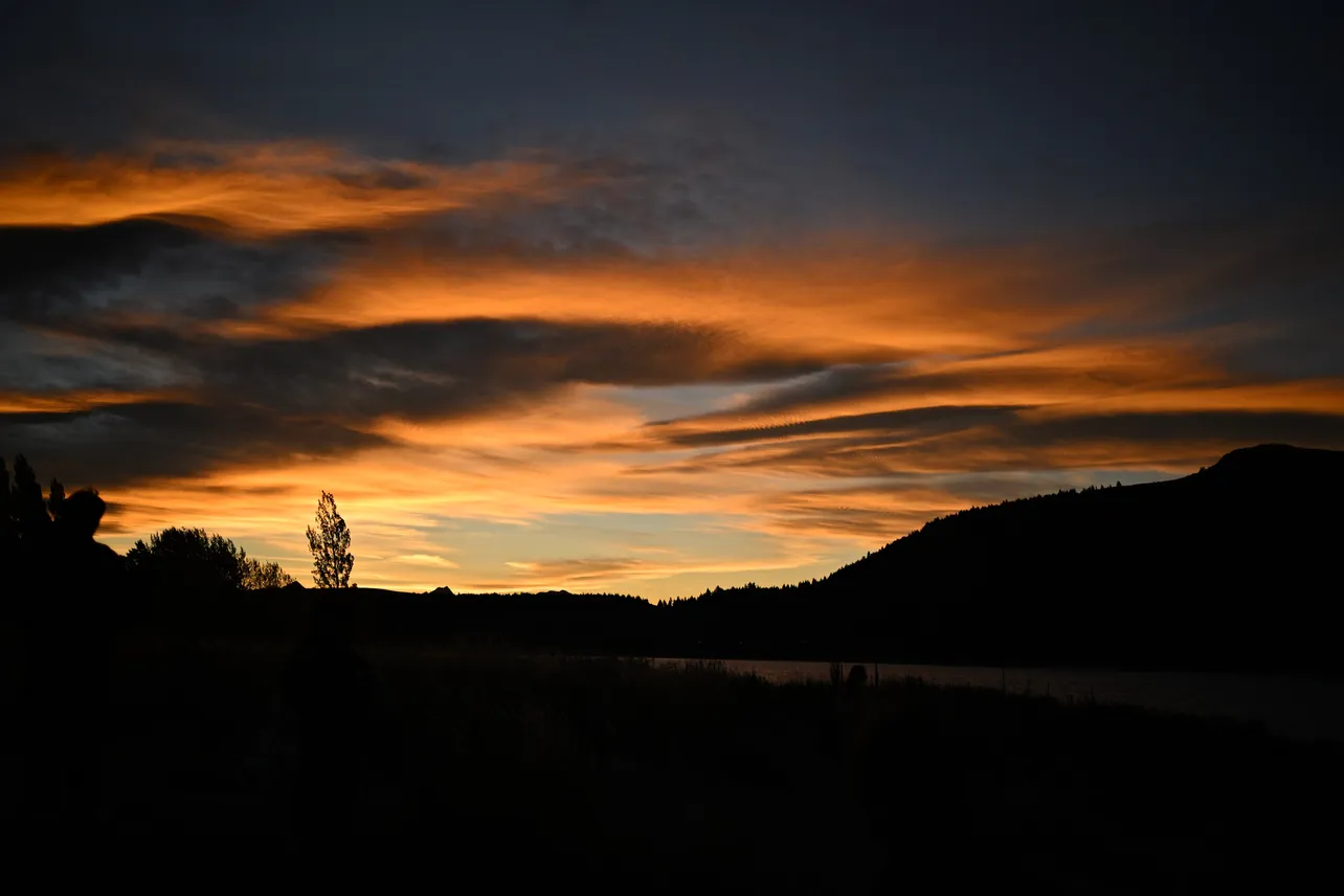 福士蒼汰が収めた、ニュージーランドロケの風景写真<楓>