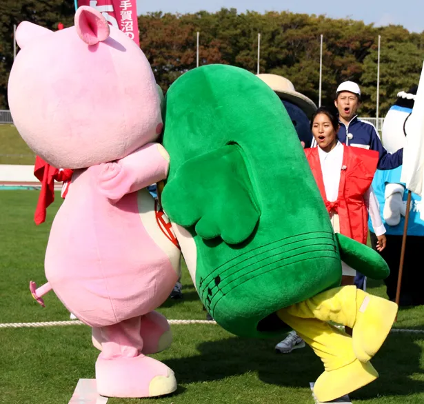 相撲対決。ナラシド♪(習志野市ご当地キャラクター)が捨て身の体当たりを食らわせて、いんザイ君(印西市マスコットキャラクター)に勝利