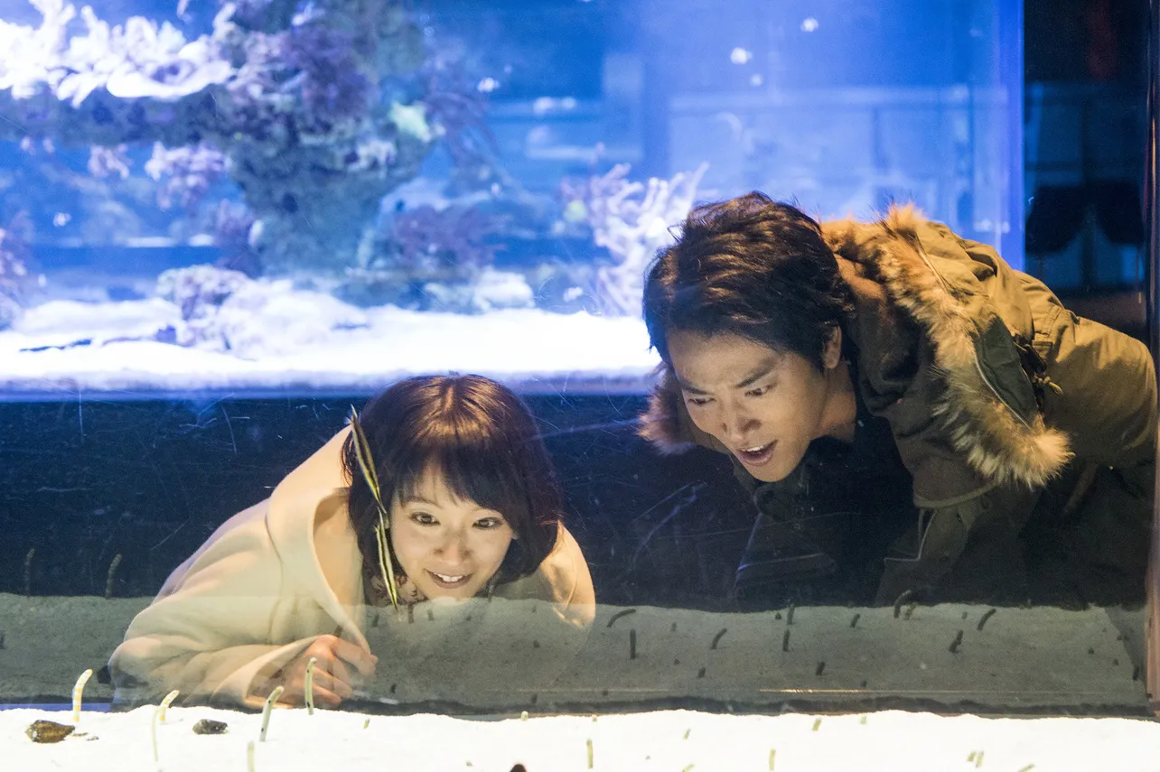 今日子(吉岡里帆)と吉崎(桐谷健太)が東京・すみだ水族館でデート(？)する場面。撮影の合間、桐谷は大量のチンアナゴを前に「めっちゃおるやん！」とテンション上がりまくり！
