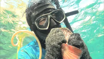 破天荒・ナスDに挑戦状!? よゐこ、「よゐこの“無人島”なんだ！　ナスDには譲らない」 