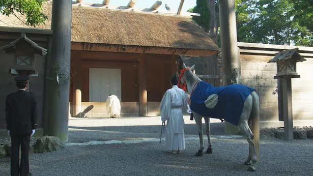 「これだけ押さえておけば大丈夫」というポイントを紹介