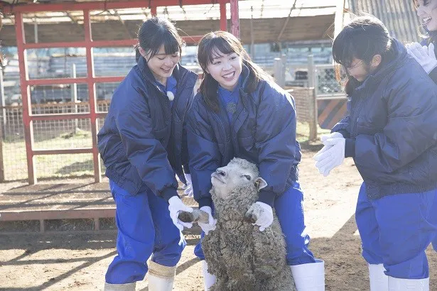 6人ともつなぎ姿に着替えて大奮闘