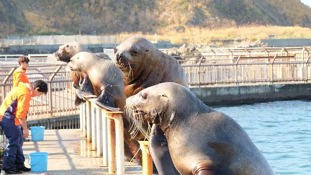 「チームナックスとゆく 北海道美食めぐりの旅 in 小樽」