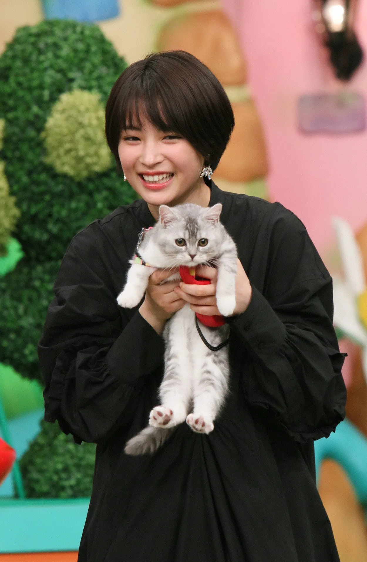2月24日(土)放送の「天才！志村どうぶつ園」で愛猫・あのちゃんと出演した広瀬すず