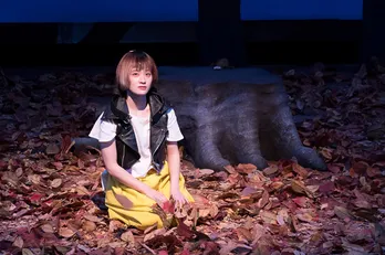 コムアイが擬人化猫キャストに!「水曜日のカンパネラ」の劇伴担当も決定