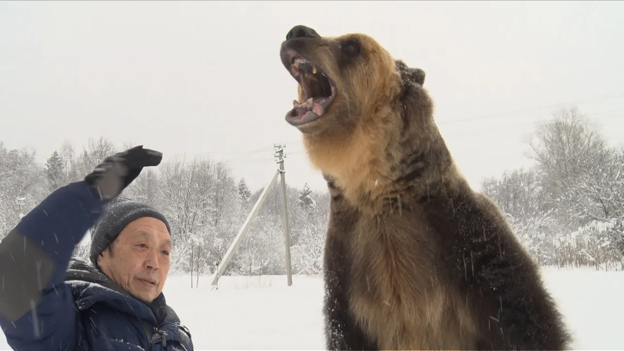 神沢瑞至氏はヒグマを眠らせることができるのか