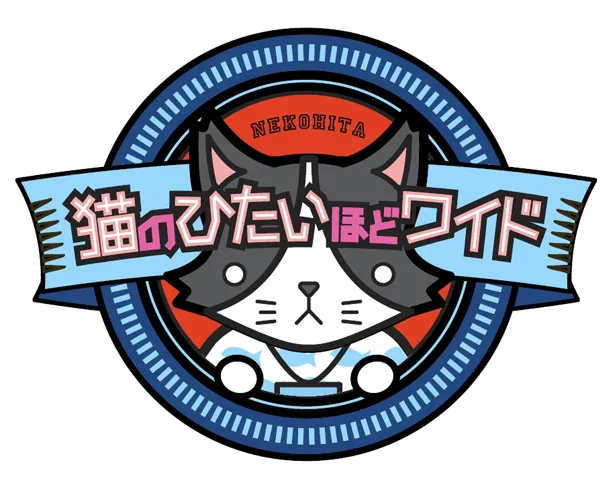 「猫のひたいほどワイド」は4月からパワーアップ！