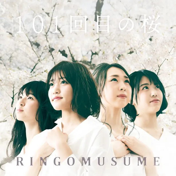  RINGOMUSUMEの4人が、ニューシングル「101回目の桜」について語ってくれた