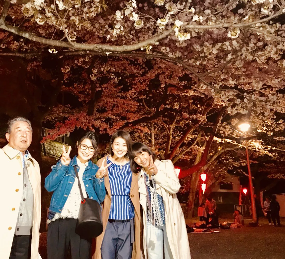 田浦にある穴場の夜桜スポットで夜桜を堪能！